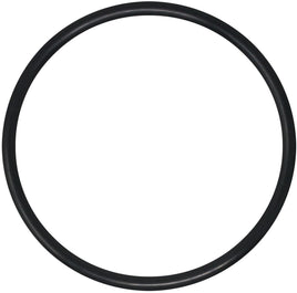 R0408200 is a black O-ring designed to fit the lid of a Jandy Flo-Pro series pump. Fits all horsepower models. 