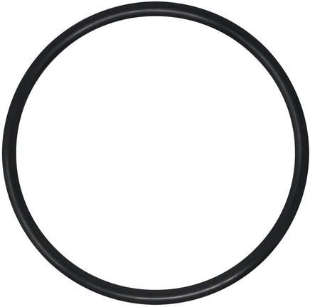 R0408200 is a black O-ring designed to fit the lid of a Jandy Flo-Pro series pump. Fits all horsepower models. 